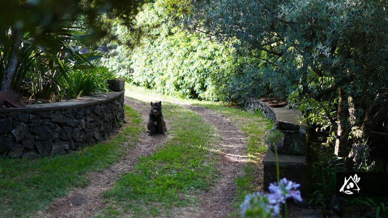Quinta Do Paraiso Porto Martins 외부 사진