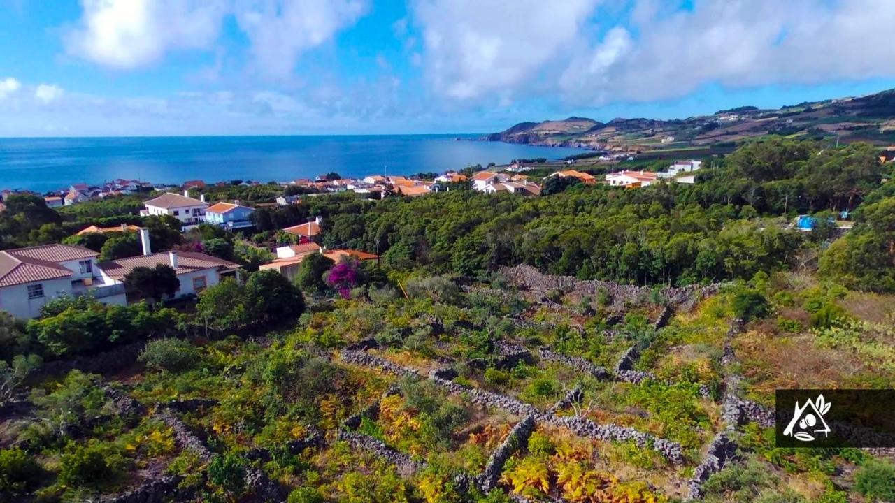 Quinta Do Paraiso Porto Martins 외부 사진