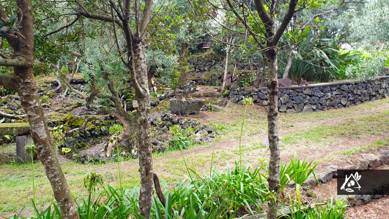 Quinta Do Paraiso Porto Martins 외부 사진